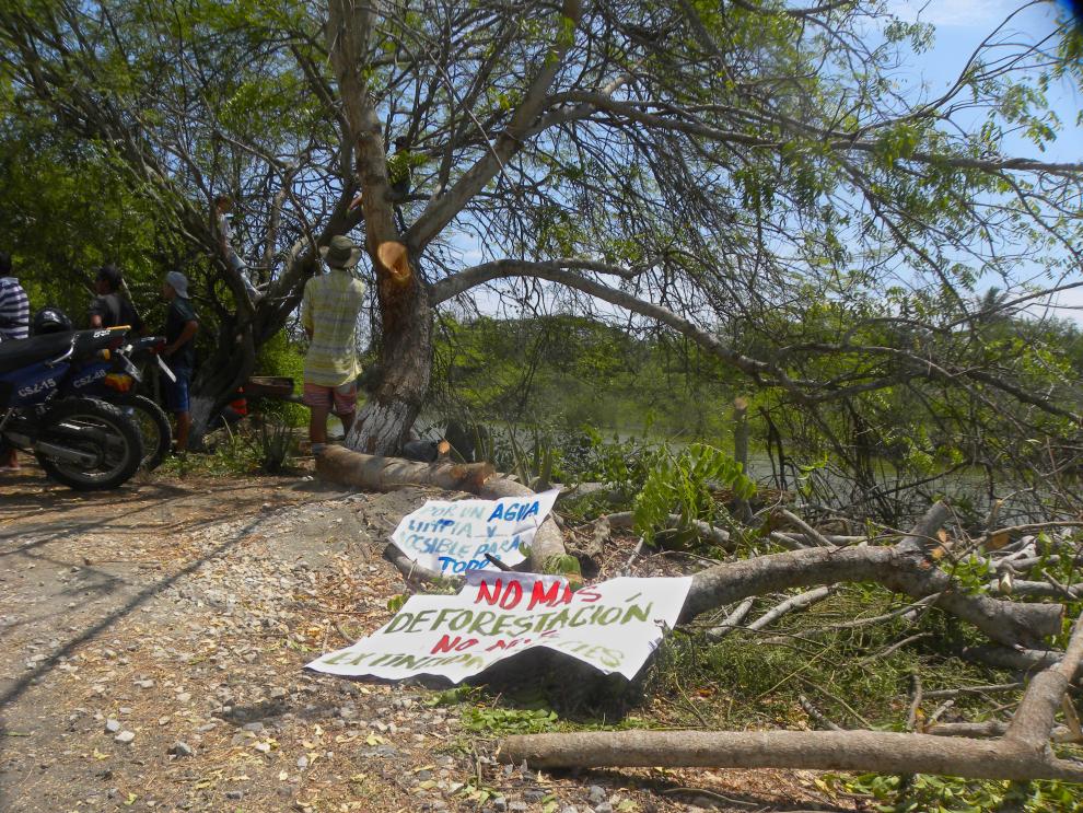 OLON TALA MANGLAR