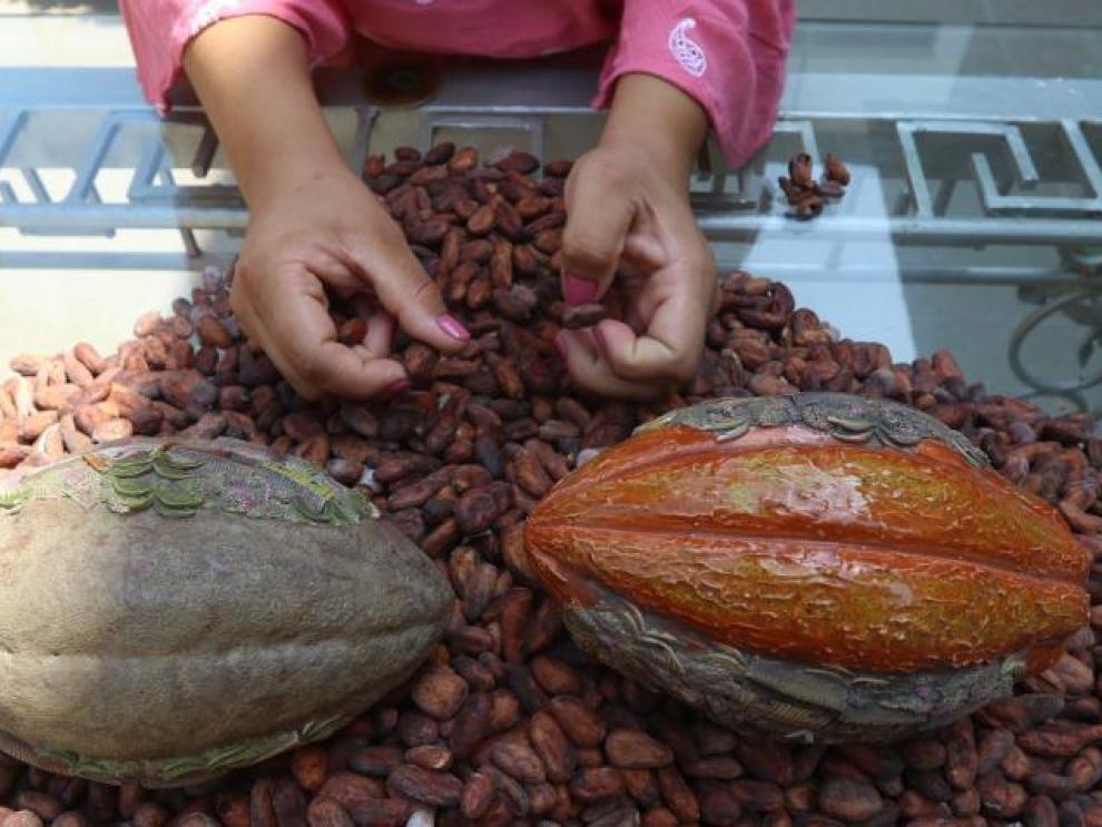 cacao+Ecuador+precios