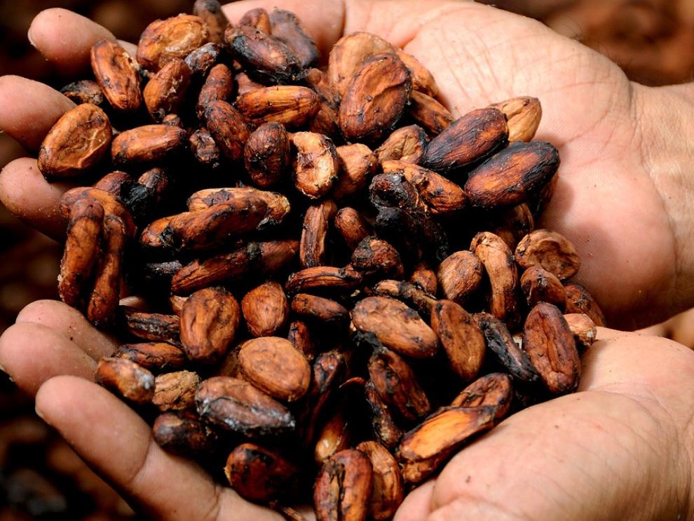cacao.