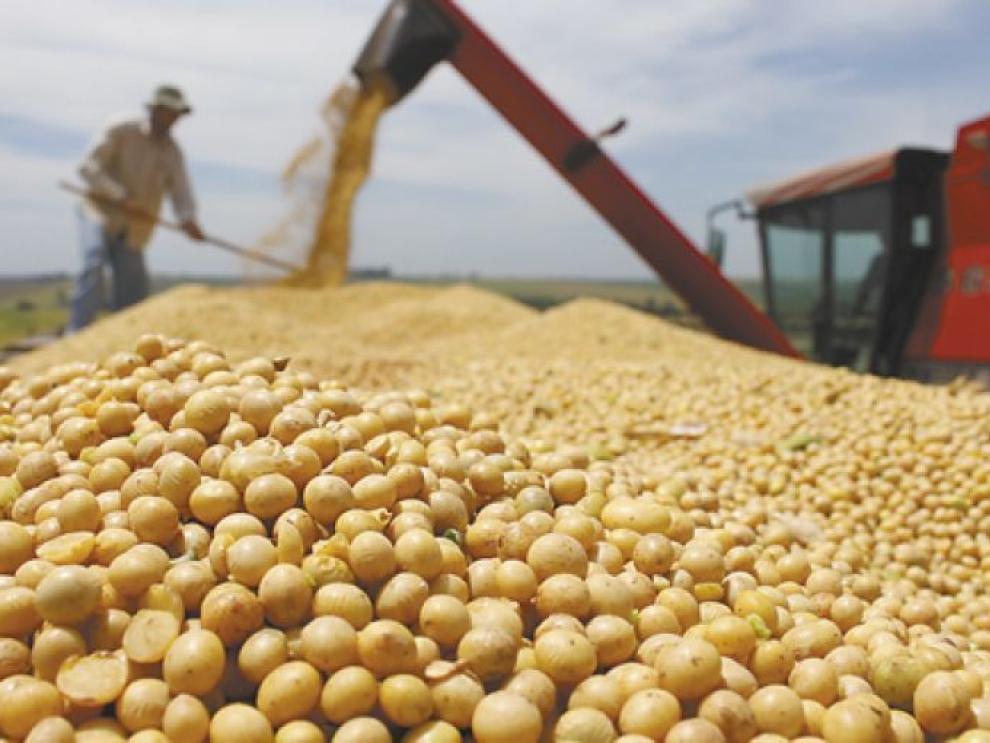 soya+precios+ee.uu.+trump