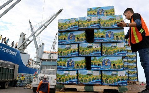El 34 % del banano exportado hasta marzo de 2026 se dirigió a la Unión Europea; otros destinos, menos restrictivos, abren espacio a nuevas alternativas para afrontar la fusarium R4T
