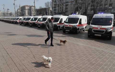 Imágenes de dueños de mascotas con sus dueños enternecen en redes, mientras otros buscan usarlos para poder salir del encierro.