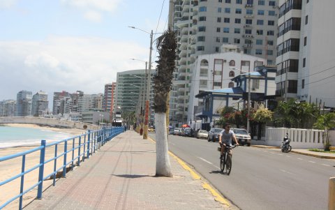 Áreas verdes. Son inexistentes. Las pocas palmeras están ya secas.