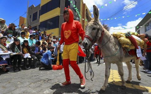 La competencia tiene reglas estrictas sobre el cuidado del animal, pues se prohíbe que los burros lleguen a Salcedo con síntomas de malos tratos o que en la competencia sean objeto de golpes u otros agravios.