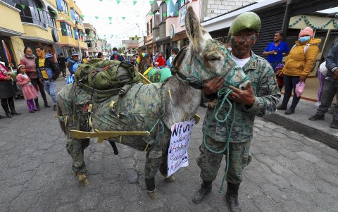 Los burros son sometidos a un tratamiento de belleza y moda, pues los dueños los suelen vestir de variadas formas, algunas muy sarcásticas, pues les colocan adornos para que parezcan profesionales.