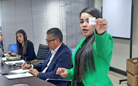 182 personas se habían postulado al concurso de renovación parcial del CNE.
