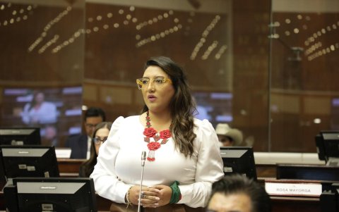 La asambleísta del correísmo, Gissela Garzón, presentó la solicitud de juicio político contra la fiscal Salazar.