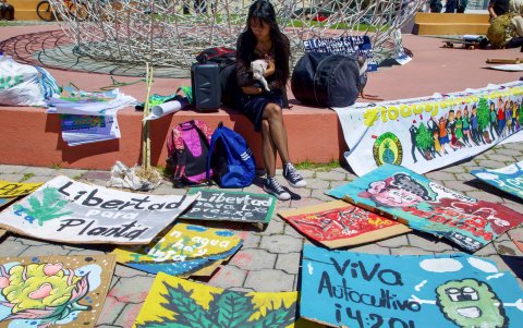 Más de un centenar de personas participó este jueves en Quito en la Marcha Mundial de la Marihuana.