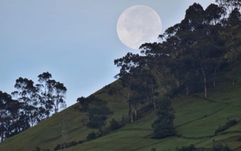 Imagen captada por Juan Carlos Andrade.