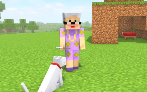 Palomo es el gato virtual que la abuela Sabina creó en su mundo de Minecraft, basado en su mascota real.