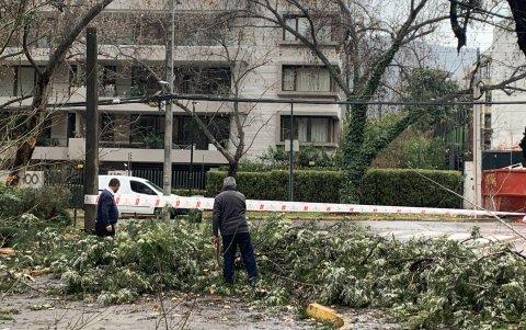Un árbol caído, tras el intenso sistema frontal que azota la zona centro sur de Chile ha dejado más de un millón de viviendas sin suministro eléctrico desde el fin de semana.