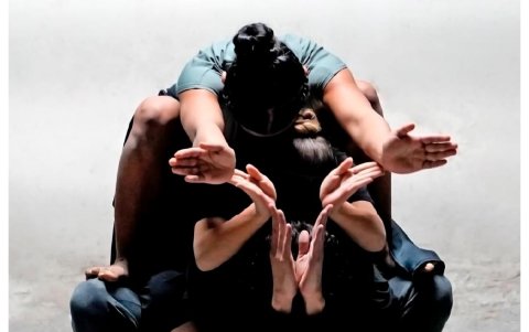 Los espectáculos se llevarán a cabo hasta el viernes 16 de agosto.