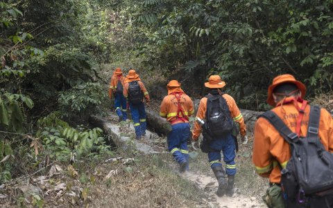 Bomberos trabajan apagando incendios en varias áreas quemadas del Parque Estatal Guajará Mirim el pasado jueves en la ciudad de Nova Mamoré (Brasil).