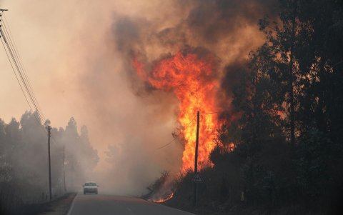 Las llamas junto a la carretera nacional EN-16 entre Freixiosa y Mangualde (region Centro), este martes.