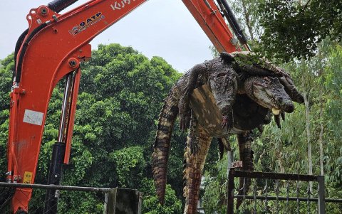 Las fuertes lluvias provocaron la erosión del muro, haciéndolo más vulnerable al derrumbe, lo que podría suponer un peligro para los vecinos.