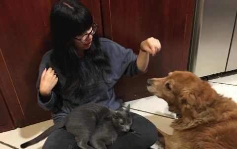 Las mascotas de la autora y otros animales figuran en el libro ilustrado.