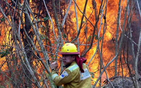 Un bombero trabaja apagando un incendio en la comunidad de Palestina (Bolivia).