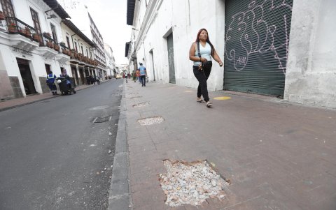 En la calle Benalcázar se sembrarán más de 170 árboles.