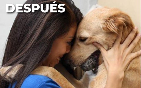 La ONG cuenta con un programa de adopción que garantiza condiciones óptimas para el animal.