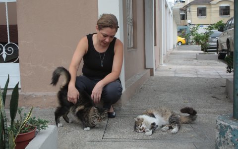 Carolina Egas y los gatos a quienes apadrina
