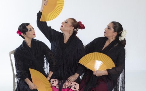 El baile flamenco busca seducir y mostrar pasión y otras emociones