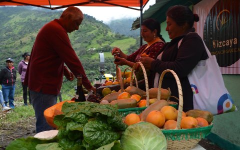 Vizcaya ha desarrollado iniciativas de turismo sostenible