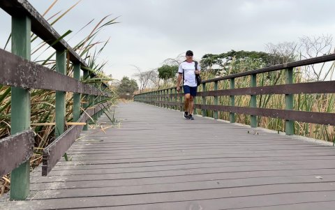 Puente. Varios tablones de caucho de neumáticos forman el piso y los barandales de esta infraestructura están desenganchados de sus uniones.