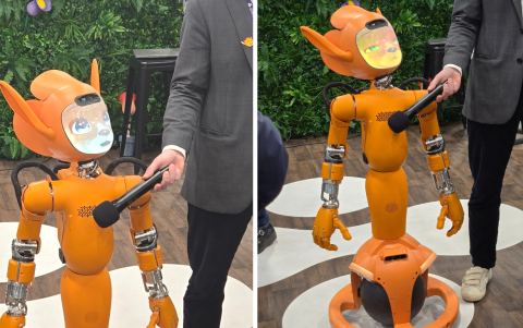 Mirokai proviene de los términos japoneses Miro y Okai, que significan “ver la belleza en el otro”, reflejando su propósito como un acompañante humanoide empático.