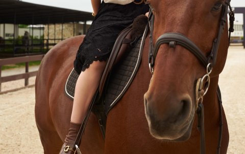 Sigue estos consejos y atrévete a probar la tendencia del 2025