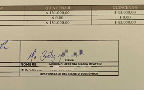 Documento sobre aportes de campaña de ADN. María Moreno es figura clave en el movimiento oficialista.