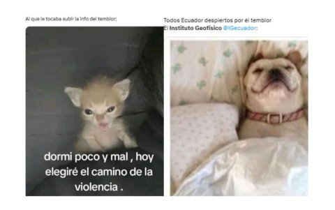 Memes ante demora del Instituto Geofísico.