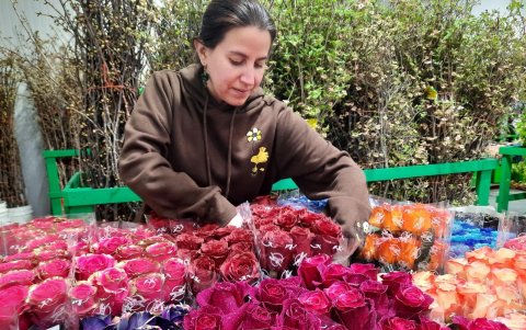 Mini Pacheco de Fresh Flowers muestra los diseños de flores tinturadas.