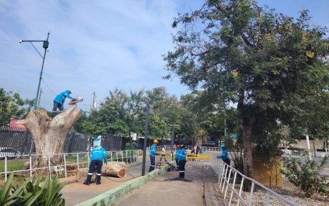 Personal de Parques EP