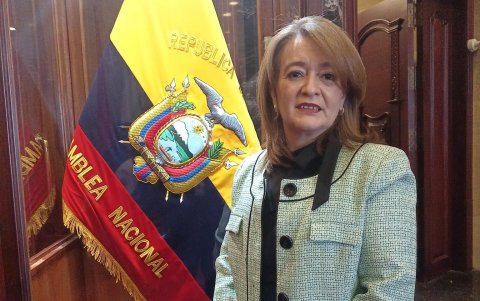 Carrasco era asambleísta por la Circunscripción de América Latina y el Caribe.