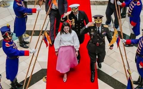 La vicepresidenta Pinto al ingreso de la Vicepresidencia.