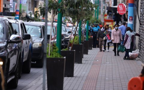 Se colocaron especies como eugenias y pinos en la av. Eugenio Espejo.