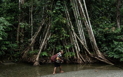 Un anciano de la tribu indígena Hongana Manyawa que abandonó el bosque y ahora vive en una aldea con su madre, caminando junto a un arroyo limpio en East Halmahera.