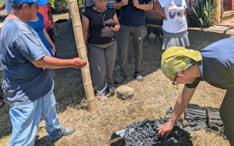 Biofertilizantes requieren anticipación y seguimiento constante