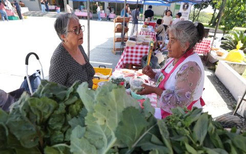 Soy San agrupa la producción de frutas, vegetales y lácteos de productores de distintos cantones de Chimborazo.