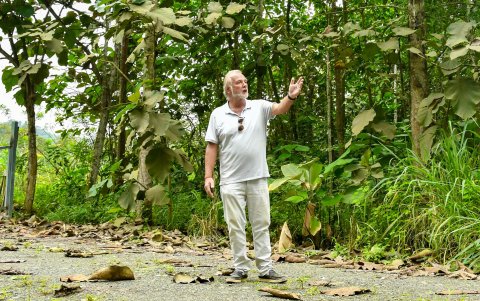 Alexander Matecki, productor de teca, experimenta en el Rancho Alemán con un sistema agroforestal que, según explica, reduce costos de producción y el riesgo de plagas.