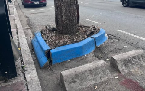 Algunas jardineras de la Víctor Emilio presentan fisuras.
