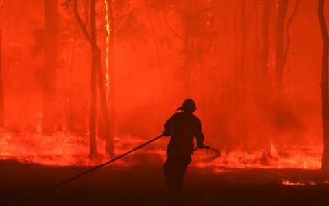 Incendio forestal en Australia