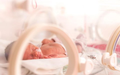 La aceleración del parto se debía mayormente cuando la temperatura superaba los 32,2° C.