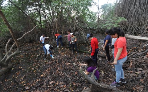 Antes de empezar a plantar las semillas, los participantes limpiaron el terreno.