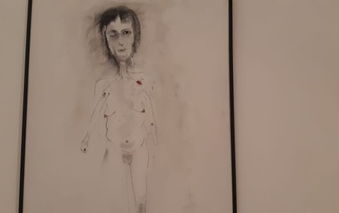 Se trata de la segunda exposición individual de la artista.