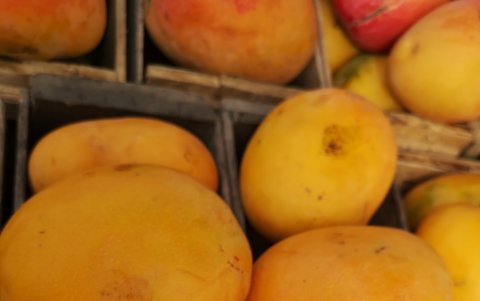 Edward es una variedad que se exporta a Europa.