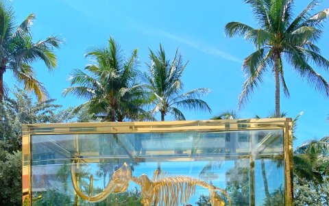 Su accesorio favorito son los zapatos y carteras. También le fascina los accesorios de manos y cuello.