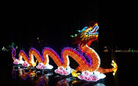 Un jardín botánico con muchas luces