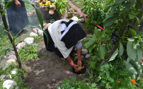 Ancestros. Los alimentos son enterrados para dar tributo a la Pachamama por su generosidad con las plantas y las cosechas.