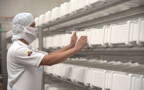 La Holandesa recibió 1,9 millones de dólares.